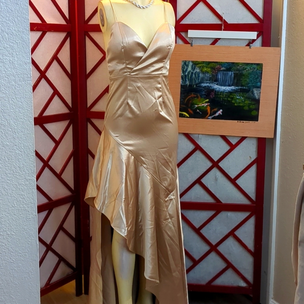 NWT XS Maxi